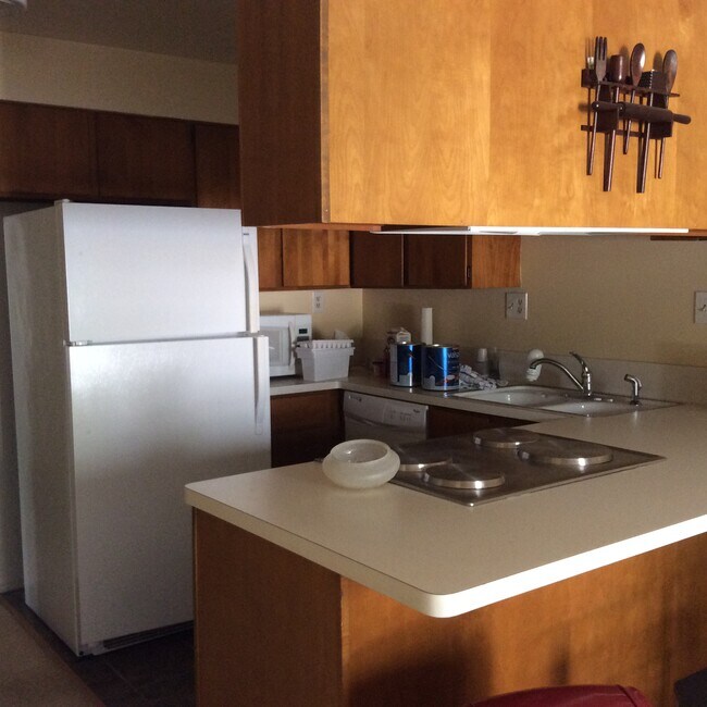 Kitchen - 220 N Fanning Way