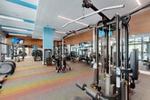 Located in Miramar, FL, this modern fitness center offers a spacious, single-floor layout designed to accommodate a comprehensive range of workout needs. The open floor plan is thoughtfully organized, with distinct zones for strength training, cardio, and functional fitness. The space features an impressive array of equipment, including cable machines, multi-station strength systems, free weights with dedicated rack storage, weight benches, treadmills, ellipticals, and stair climbers.

The interior design is contemporary and energizing, with warm wood-paneled accent walls providing a stylish contrast to the bright white ceilings and light blue structural columns that punctuate the space. Vibrant, multicolored carpet tiles add a dynamic visual element to the floor throughout. Linear LED lighting fixtures run across the ceiling, ensuring the space is well-lit at all times.

Floor-to-ceiling windows along multiple walls flood the gym with natural light and offer views of lush outdoor landscaping and palm trees, creating an inviting atmosphere. Full-length mirrors are strategically placed to enhance the sense of space and functionality. Multiple wall-mounted flat-screen televisions are distributed throughout, keeping members entertained during workouts. The overall ambiance is bright, modern, and motivating — ideal for an active lifestyle.