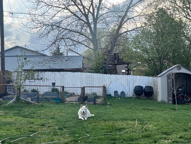 Building Photo - 655 Kilmer St