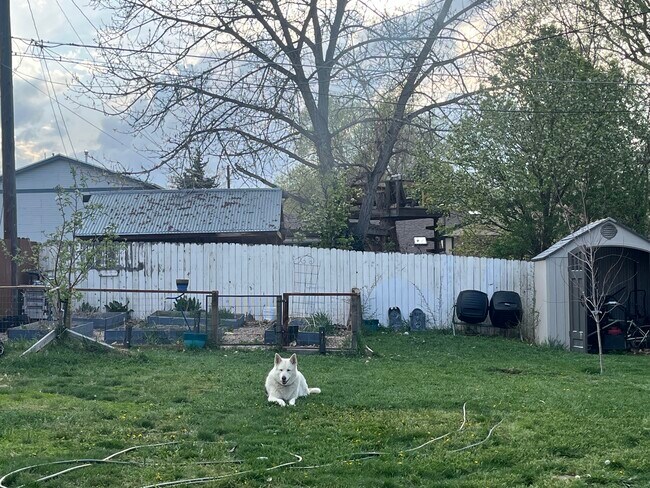 Foto del edificio - 655 Kilmer St