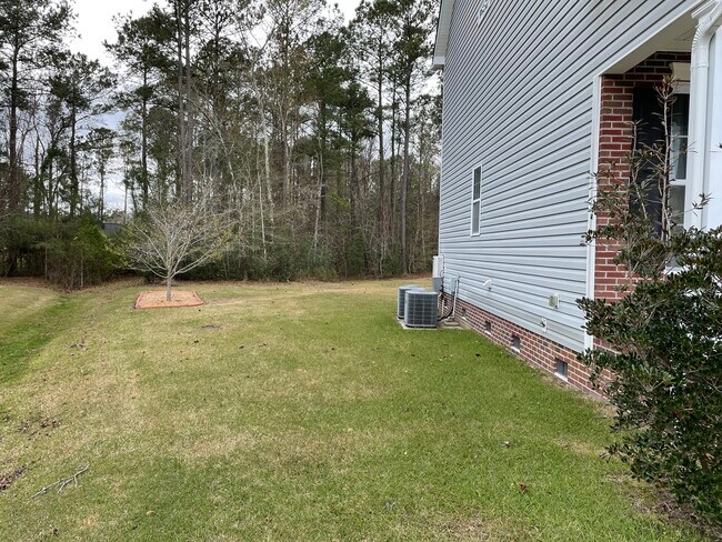 Left side of house - 204 Mia Ct