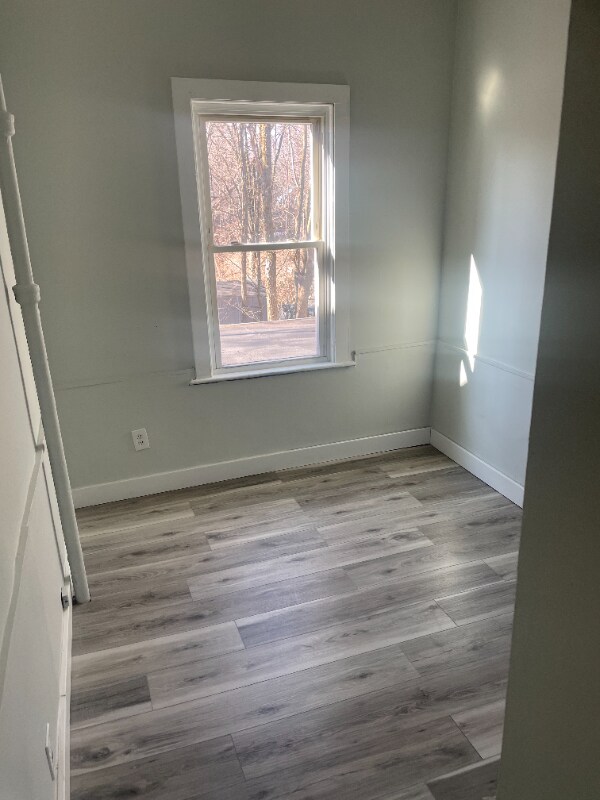 43 Adeline St, New Haven, CT 06519 House Rental in New Haven, CT