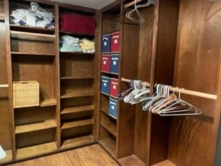 Closet in bedroom, lots of storage - 3239 Long Lake Dr SE