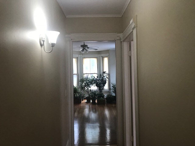 Foto del edificio - 493 Cumberland Ave