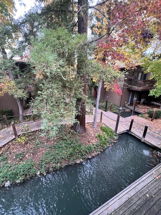 View from deck - 911 Fulton Ave