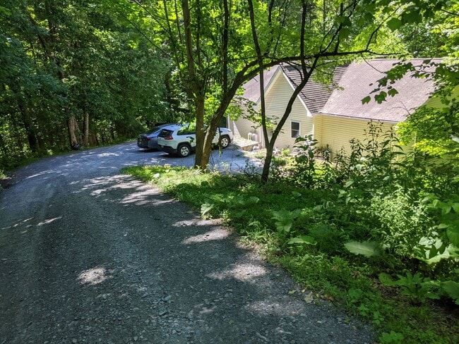 Photo - morri248 Apartment