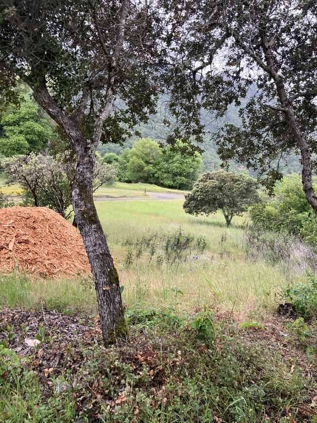 view from side - 1411 Duncan Springs Rd