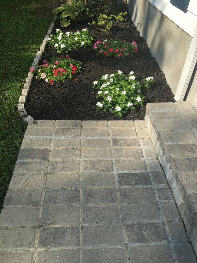 Foto del edificio - 2527 Vivaldi Ln