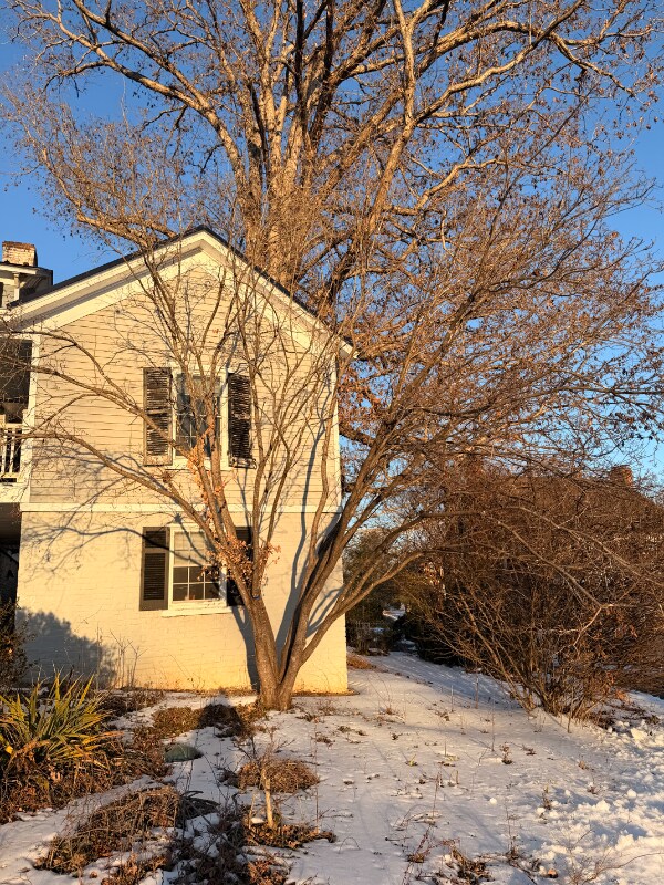 Building Photo - 154 Garland Ave