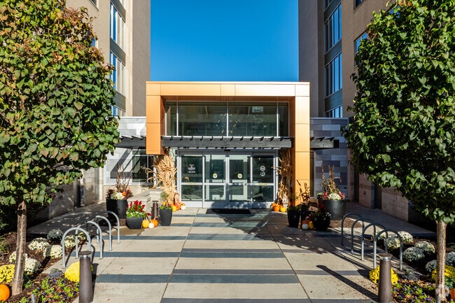 Los patios en 3 cruces - The Yards at 3 Crossings