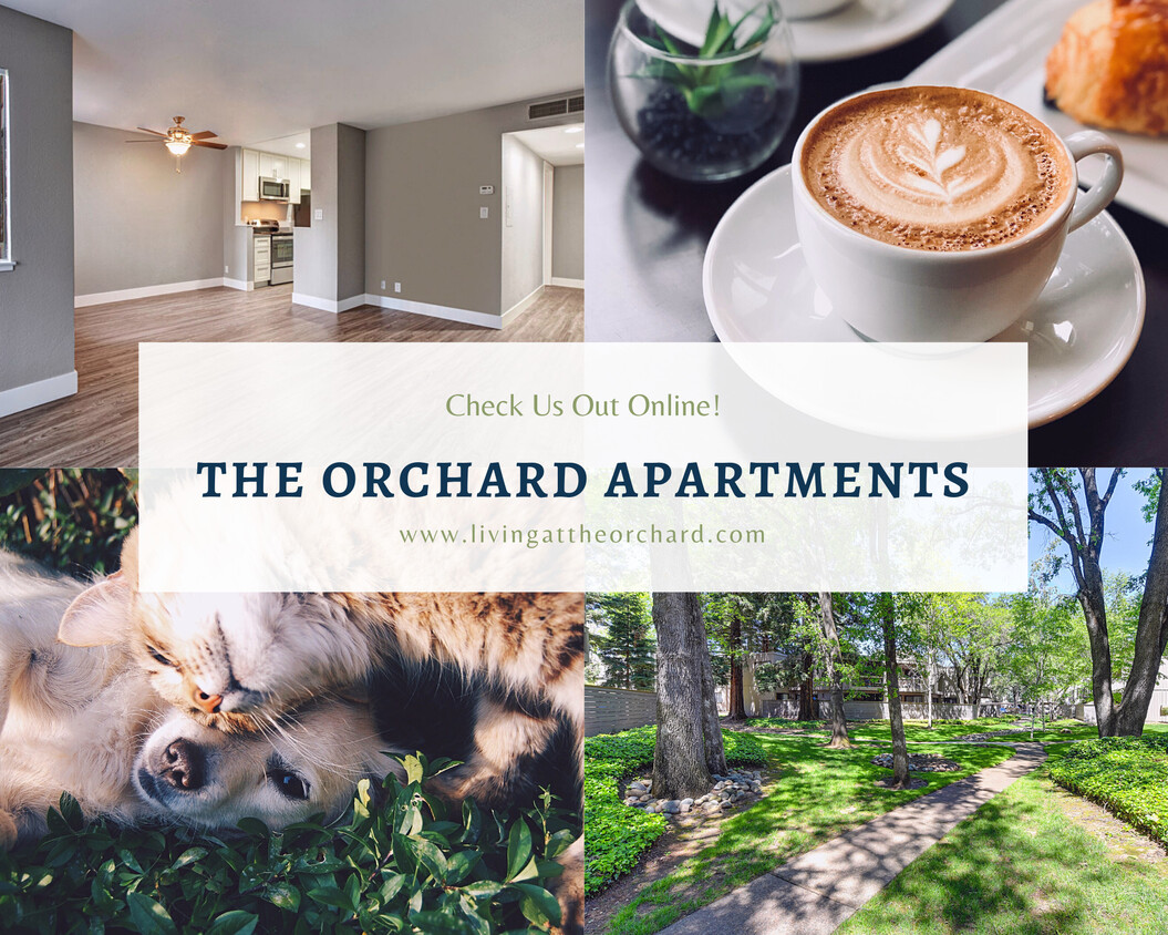 Foto principal - The Orchard Apartments