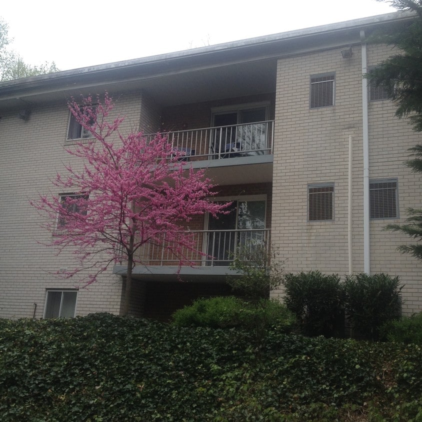 7 Rockford Rd, Wilmington, DE 19806 Condo for Rent in Wilmington, DE