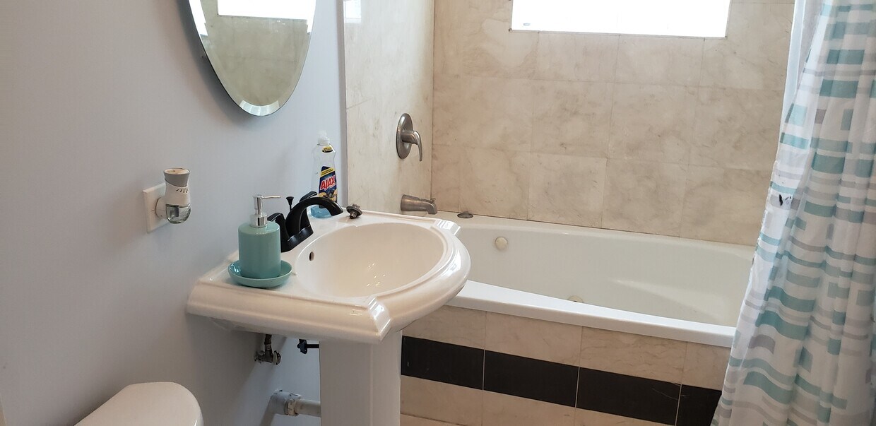 600 S York St Unit 1E, Elmhurst, IL 60126 Condo for Rent in Elmhurst