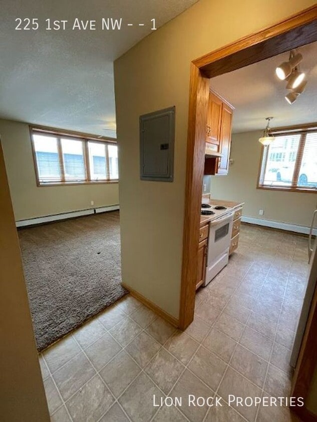 225 1st Ave NW Unit 1, Osseo, MN 55369 Room for Rent in Osseo, MN