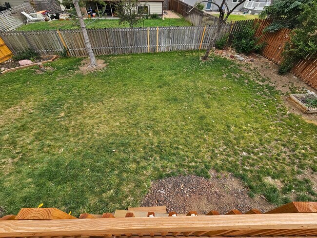 Backyard - 943 Bayfield Way