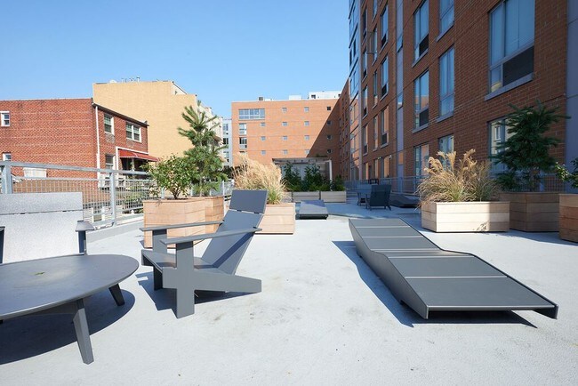 1125 Banner Avenue Apartments Brooklyn Ny Apartments Com