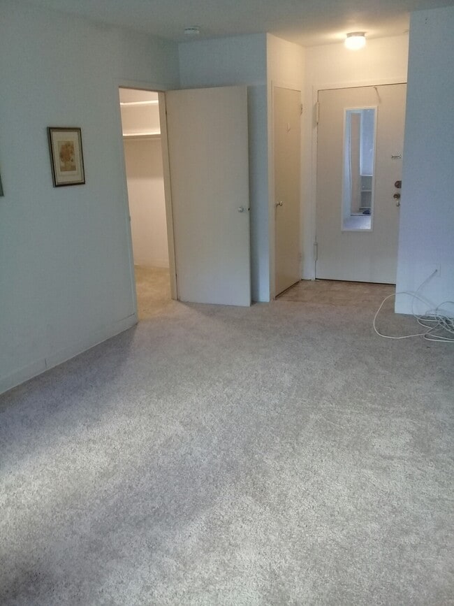 Newer Carpeting - 1121 ARLINGTON