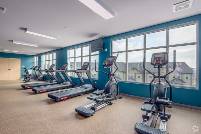Fitness Center - The Meadowlands