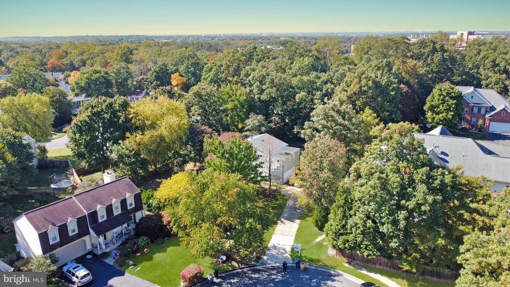 Foto principal - 12419 Washington Brice Rd