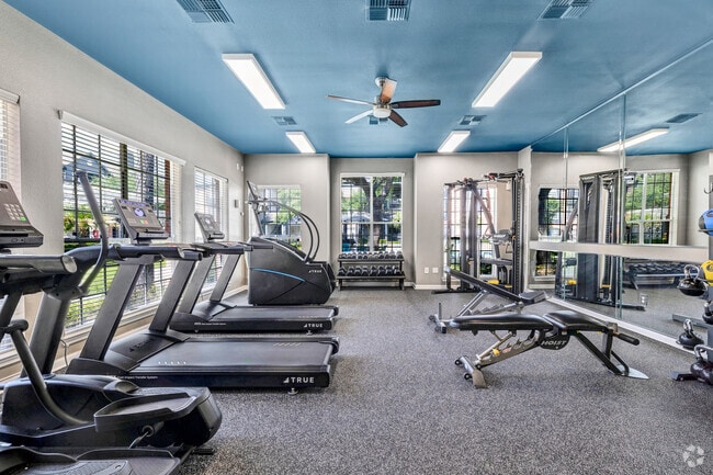 Gimnasio - Stonewood