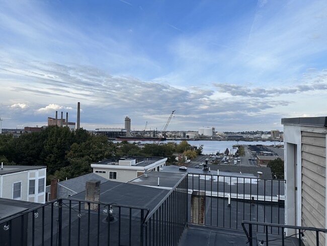 Roof View - 33 Belmont St