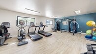 Located at 8911 Northeastern Blvd NE in Albuquerque, New Mexico, this fitness center is a fully equipped exercise facility designed to support a comprehensive workout routine. The space features light wood-style flooring throughout, crisp white walls accented by a bold teal feature wall, and flush panel lighting that keeps the room bright and energizing.

The cardio zone includes multiple treadmills and an elliptical trainer, arranged to take advantage of the natural light streaming in through several horizontal windows that offer views of the surrounding landscape. A multi-station cable machine and a dedicated strength bench occupy the teal-accented wall, providing a full range of resistance training options.

A separate free weights area is well-organized, featuring a tiered dumbbell rack with a wide selection of weights and a kettlebell rack, offering versatility for functional and strength-based training. Medicine balls and a stability ball round out the accessory equipment available. A wall-mounted flat-screen television and posted workout guides add convenience for users. The space also includes a glass entry door that allows additional natural light and connects the interior to the outdoor surroundings. Overall, the fitness center delivers a clean, modern, and functional environment suitable for a variety of fitness levels and training styles.