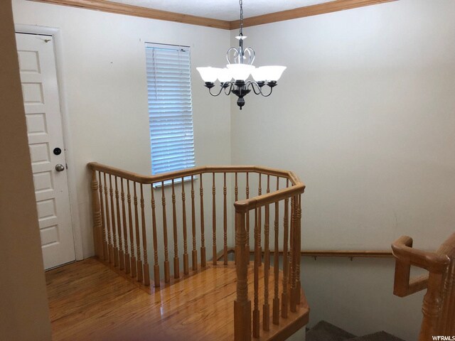 Building Photo - 10175 Buttercup Dr