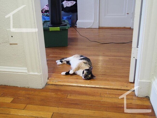 Building Photo - Avl NOW No Fee - bargain split-style 2BR n...