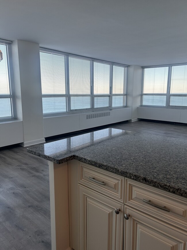 Building Photo - 4800 S Chicago Beach Dr