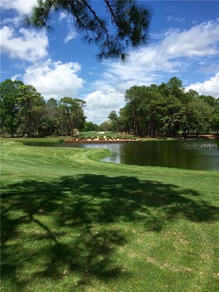 Foto del edificio - 36750 US Hwy 19 N