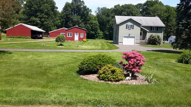 Back yard you see this view when exiting the - 1130 Blue Hills Ave