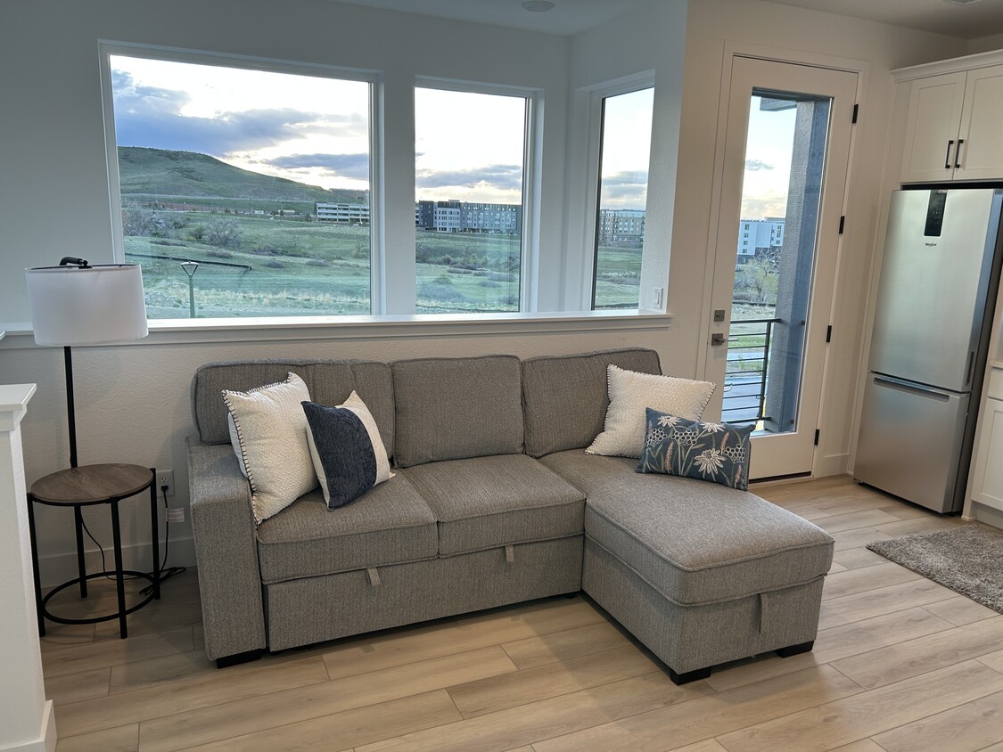 Family room faces open space - 11160 Vibrato Ln