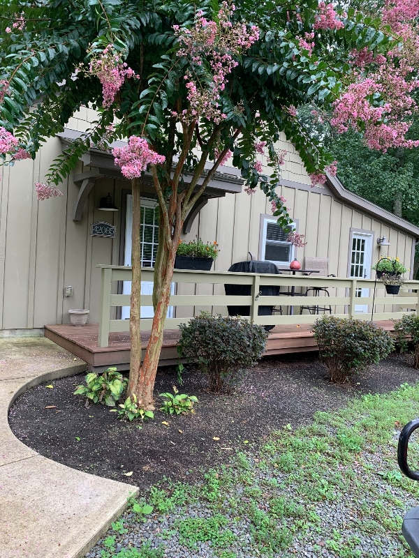 Foto principal - 42083 Sweet Spring Ln