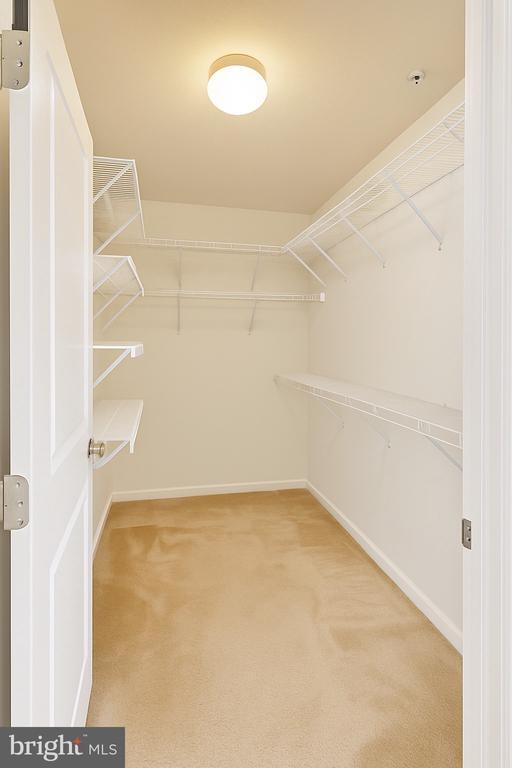 Foto del edificio - 3232 Careysbrook Ct