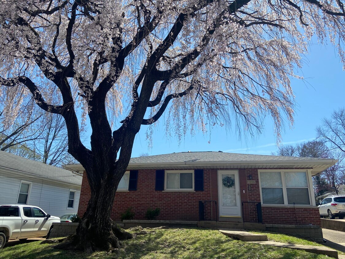 Foto principal - 7336 Lansdowne Ave