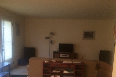 Living room - 337 Evans St