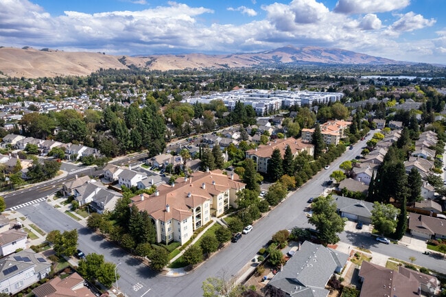 The Pavilions At Tyson Lane