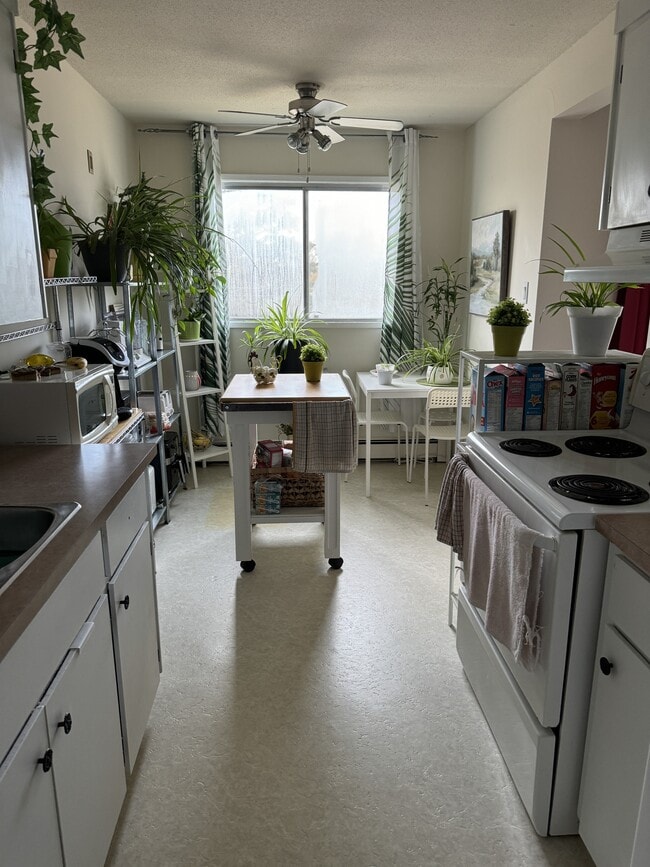 Building Photo - 12955-12101 101 St NW