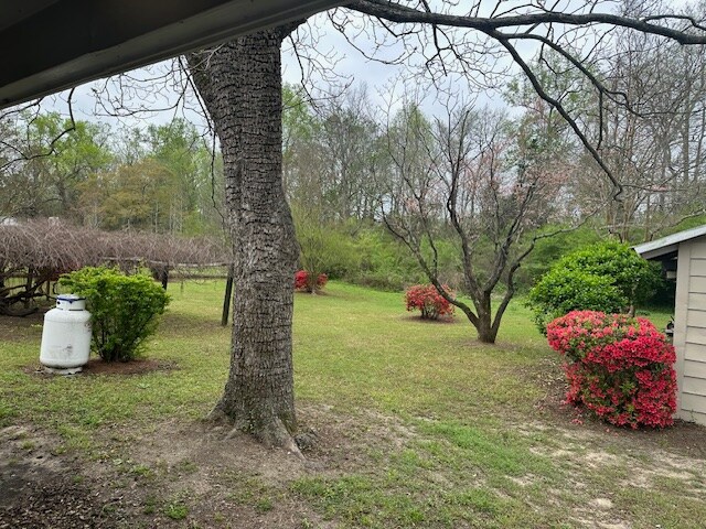Foto del edificio - 869 Lombardy Village Rd