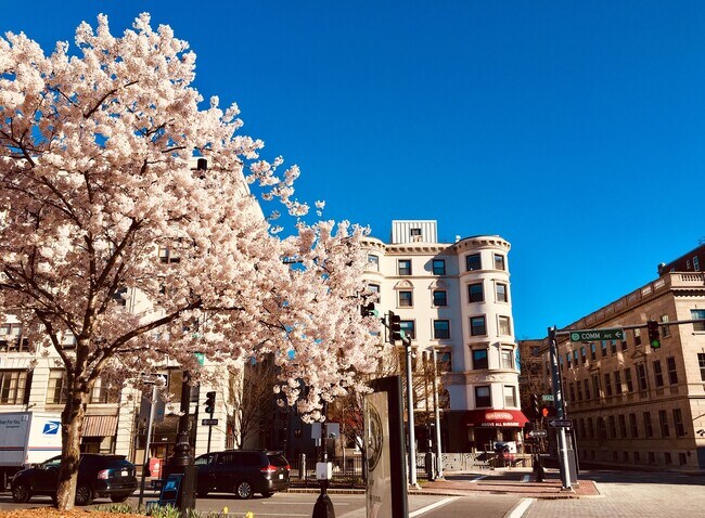 Foto del edificio - 636 Beacon St