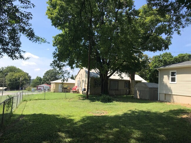 Backyard 2 - 911 Highland Ave