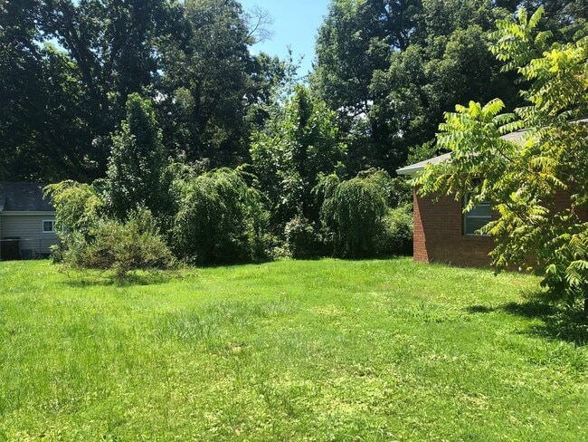 Building Photo - LOCATION! Close to Downtown Black Mountain