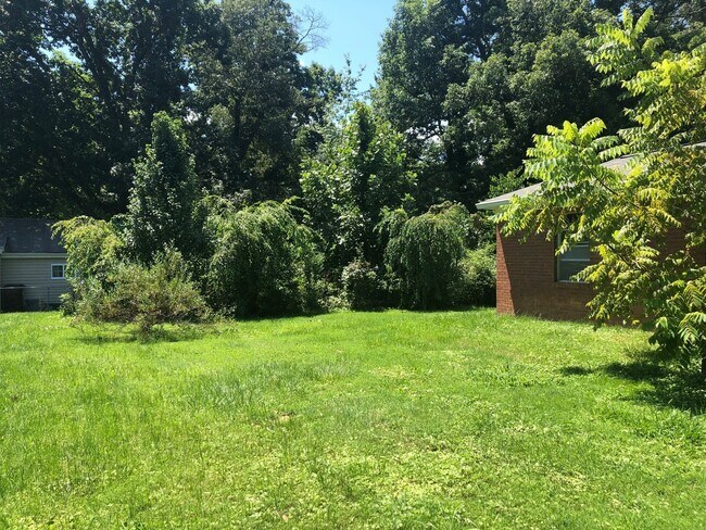 Foto del edificio - LOCATION! Close to Downtown Black Mountain