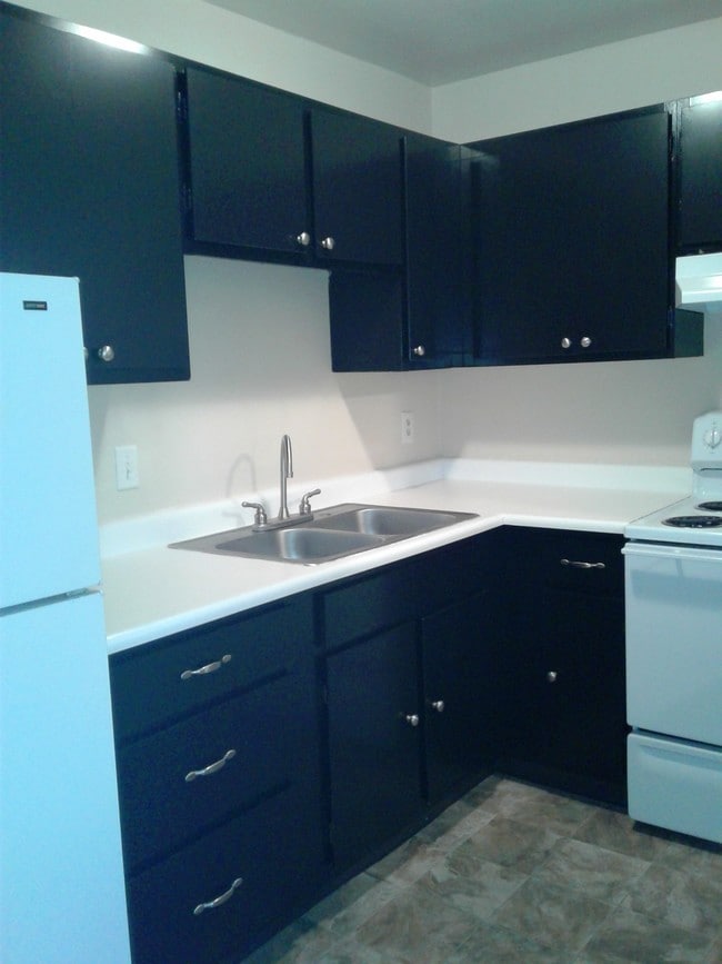 Cocina en color blanco y negro - Twin Gables Apartments