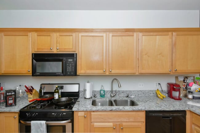 Building Photo - 3117 N Damen Ave