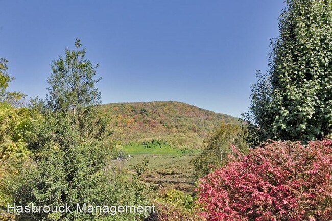Foto del edificio - 3 br, 1.5 bath House - 6853 Jarmans Gap Road