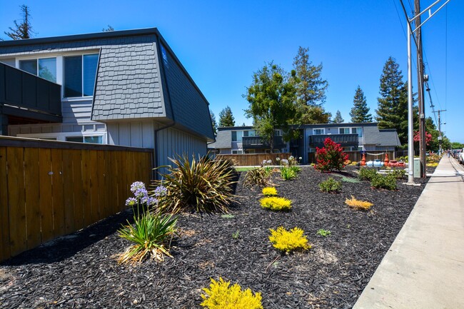 Building Photo - The Boardwalk Apartments