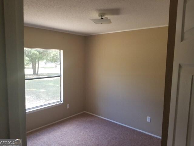 Foto del edificio - 443 Witherington Cir