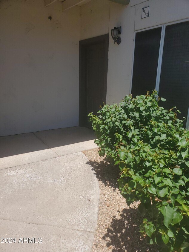 1825 W Ray Rd Unit 1142, Chandler, AZ 85224 Room for Rent in Chandler