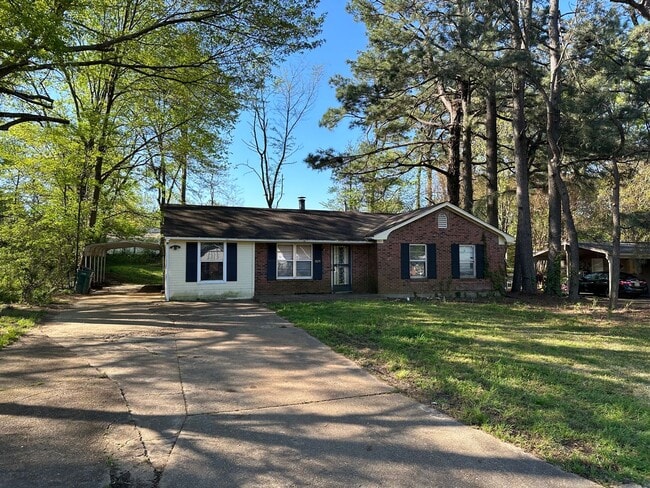 Charming 4 bed 2 bath in Southaven, MS - Charming 4 bed 2 bath in Southaven, MS House